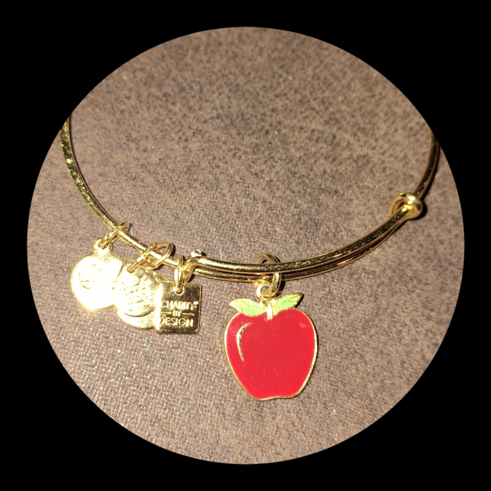 Alex and Ani Apple Charm Bracelet - Shiny Gold Finish adjustable 3/25$